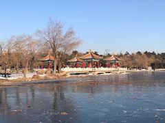 -长春市南湖公园