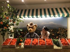 -济州岛泰迪熊博物馆