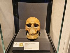 -北京周口店北京人遗址博物馆