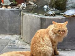 -后海16号·北京私房菜