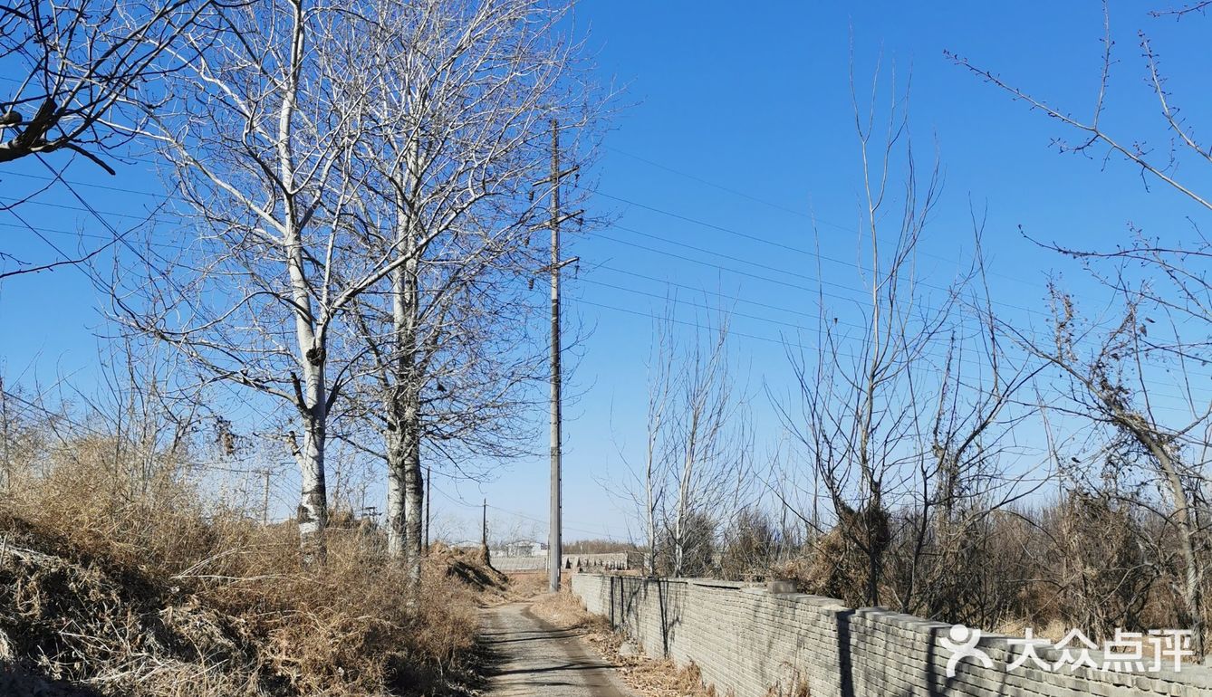 《田地里空无一人》