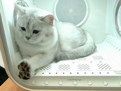 -袖虎·猫馆(体育西路店)