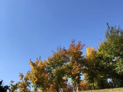 -长春世界雕塑园冰雪艺术天地