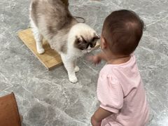 -猫爷宠物生活馆·撸猫馆