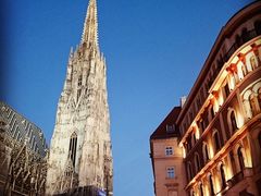 -斯蒂芬主教座堂(Stephansdom)