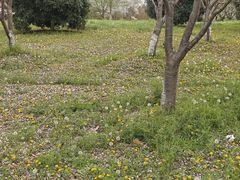 -南湖湿地公园