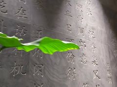 -王府茶宴(大观园总店)