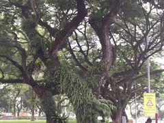 -圣淘沙名胜世界