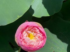 -南戴河国际娱乐中心