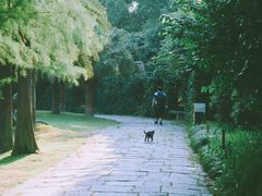 -上海植物园·停车场