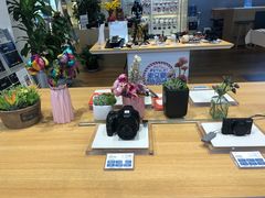 -Sony Store 索尼(来福士店)