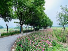 -祝甸砖窑文化馆
