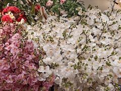 -南京特殊教育师范学院(燕子矶校区)