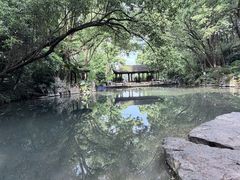 -忠山公园