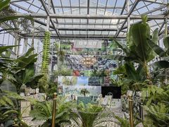 -国家植物园南园