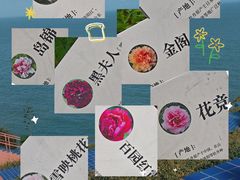 -太阳宫公园