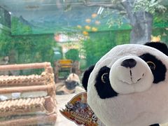 -灵玲国际马戏城