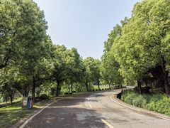 -南京市江宁方山
