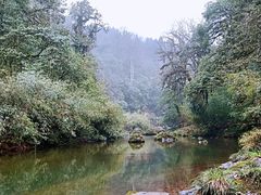 -龙苍沟森林公园