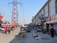 -中环花鸟鱼虫市场