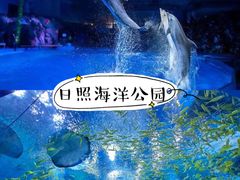 -日照灯塔风景区