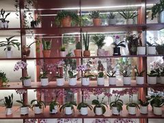 -二酉书店TOYOU BOOKS