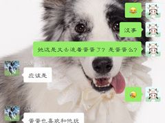 -趣玩宠物乐园寄养训犬训狗游泳池