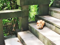 -道教老君洞