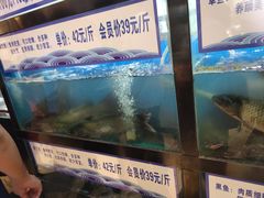 -舒来喜鱼锅(伊河路店)