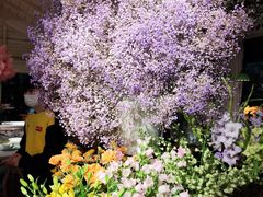 -春暖花开(西溪店)