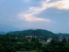 -杭州温德姆至尊豪廷大酒店