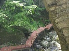-牛背梁国家森林公园