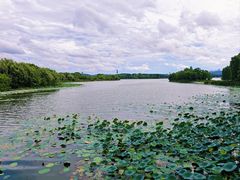 -东湖落雁景区