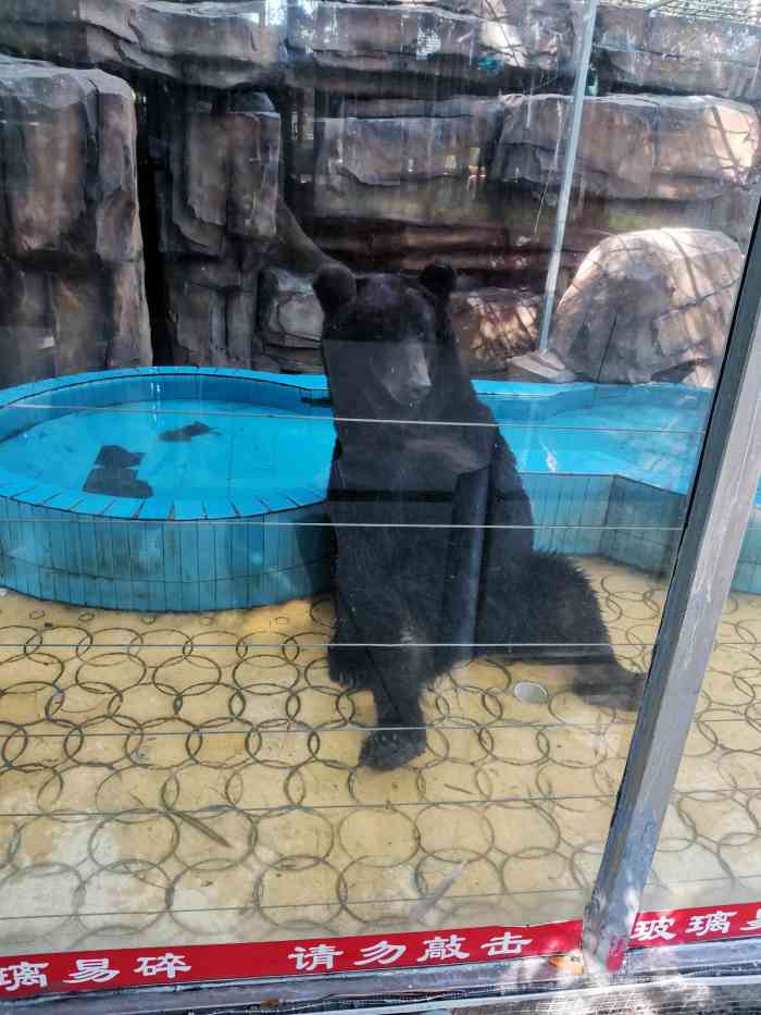 寸金动物园-"这个动物园算是我逛过的动物园里面积最小的.