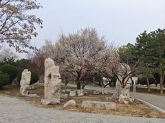 -石家庄市植物园