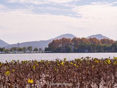 -北山街历史文化街区
