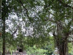 -美亭美榔姐妹塔