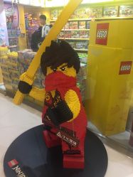 -乐高授权专卖店(朝阳大悦城店)