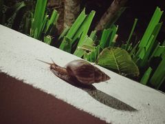 -尚泰清迈机场购物中心