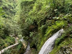 -鹿院坪生态旅游景区