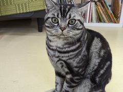 -彩翼美术馆(方庄校区)