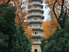 -灵谷景区