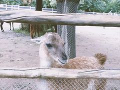 -西安秦岭野生动物园