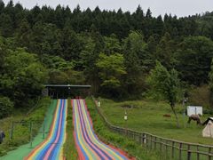 -武陵山森林公园