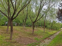 -永定河休闲森林公园