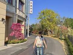 -赤坎·广东华侨国际旅游度假区