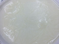 iphone_upload_pic-义顺牛奶公司
