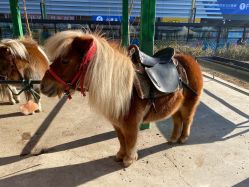 -萌宠亲子动物乐园(槐房万达店)