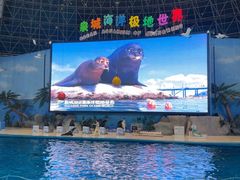 -泉城欧乐堡海洋极地世界