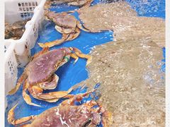 -永旺梦乐城国际商城(北清路店)